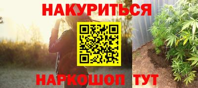 прущие грибы Краснодар